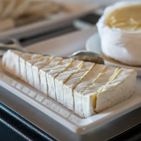 斯波特家庭套房酒店 3* 波尔图