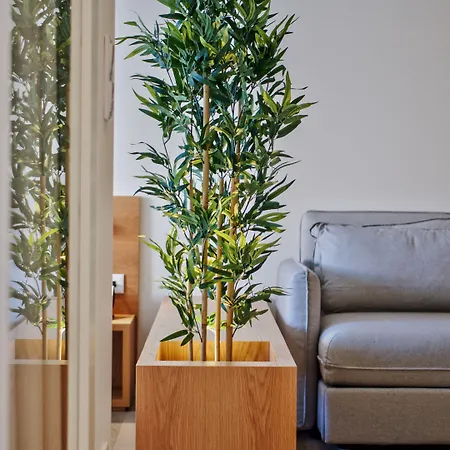 Spot Family Порту