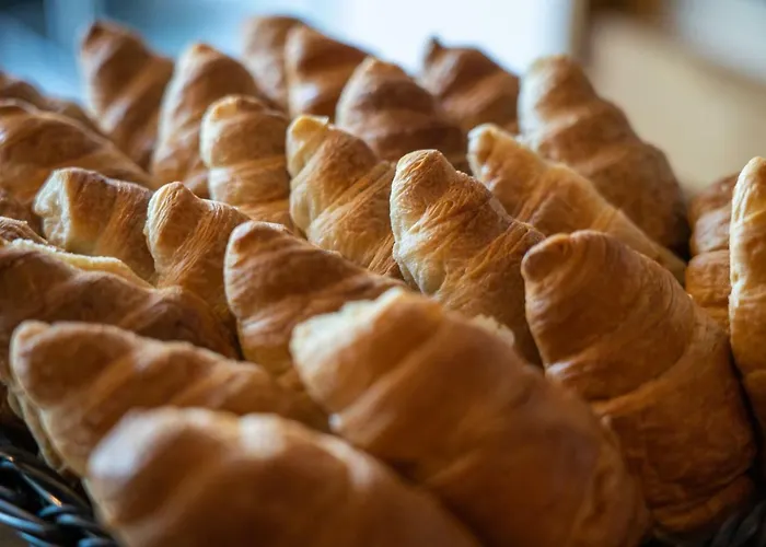 Spot Family بورتو