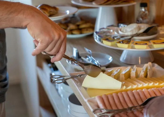 Spot Family بورتو