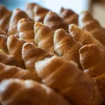 스팟 패밀리 스위트 포르투