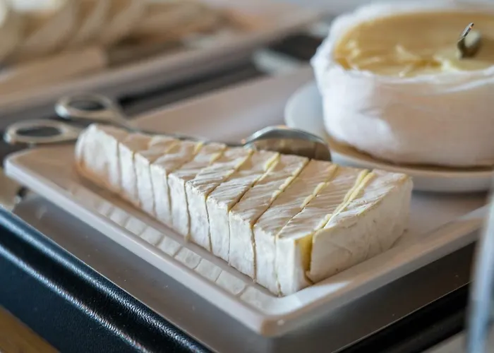 스팟 패밀리 스위트 3* 포르투